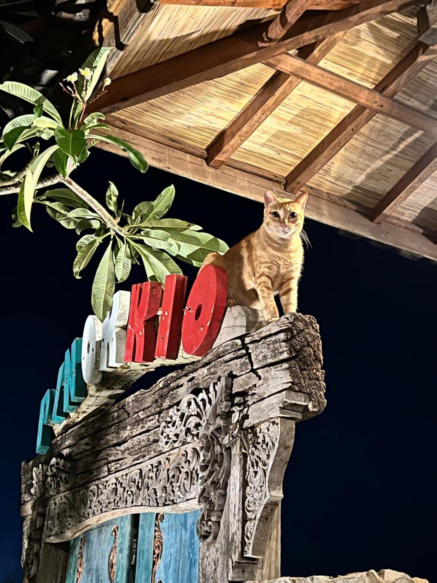 Pinokkio B&B Restaurant Ungasan Kültér fotó