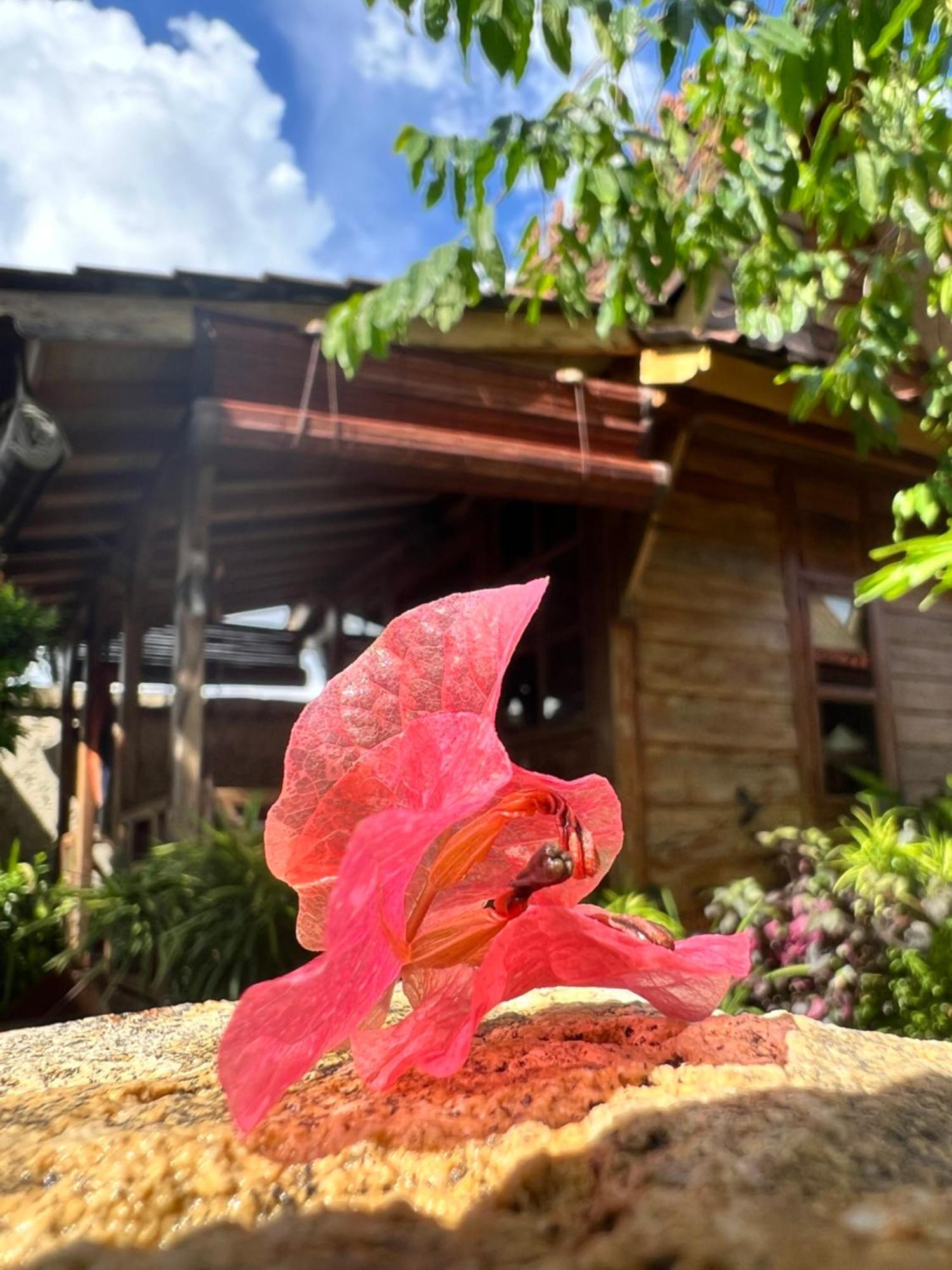 Pinokkio B&B Restaurant Ungasan Kültér fotó